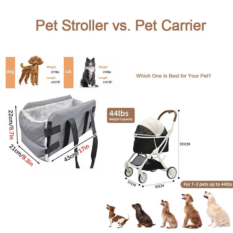 Porte-animaux V. Pet Carrier: Lequel est le mieux pour votre animal de compagnie?