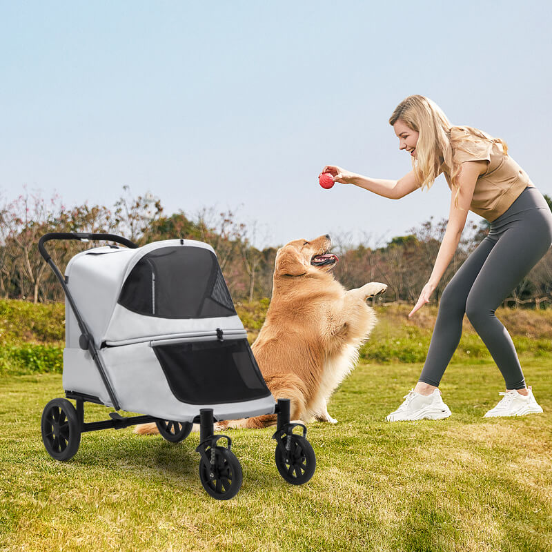 The Best Dog Stroller for 2 Large Dogs – Why the PC408 Is a Game-Changer